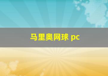 马里奥网球 pc